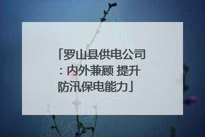 罗山县供电公司：内外兼顾 提升防汛保电能力