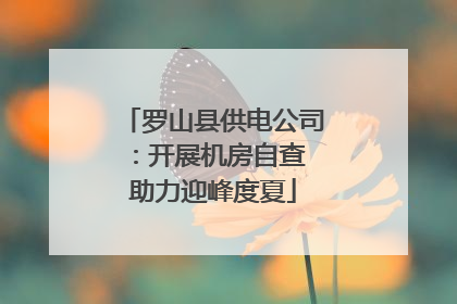 罗山县供电公司：开展机房自查 助力迎峰度夏