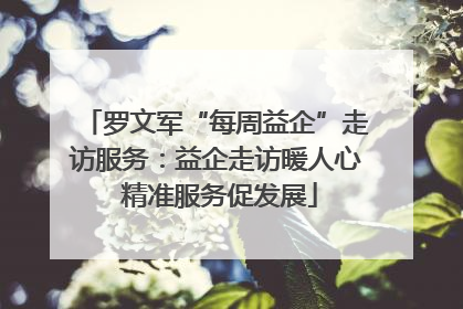 罗文军“每周益企”走访服务：益企走访暖人心 精准服务促发展