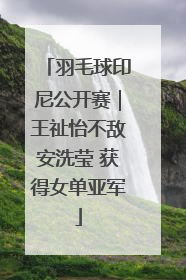 羽毛球印尼公开赛｜王祉怡不敌安洗莹 获得女单亚军