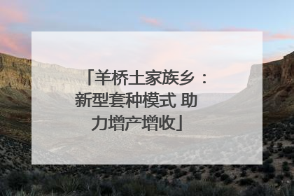 羊桥土家族乡：新型套种模式 助力增产增收