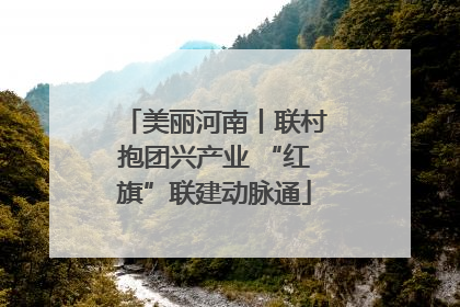 美丽河南丨联村抱团兴产业 “红旗”联建动脉通