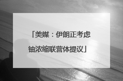 美媒：伊朗正考虑铀浓缩联营体提议