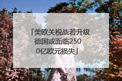 美欧关税战若升级 德国或面临2500亿欧元损失