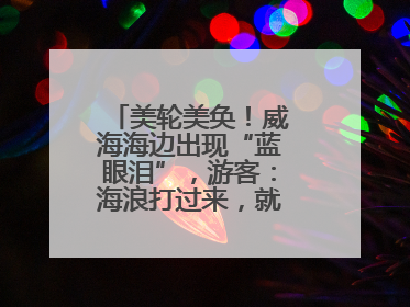 美轮美奂！威海海边出现“蓝眼泪”，游客：海浪打过来，就像星河一样