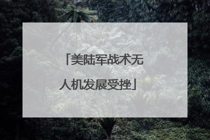 美陆军战术无人机发展受挫