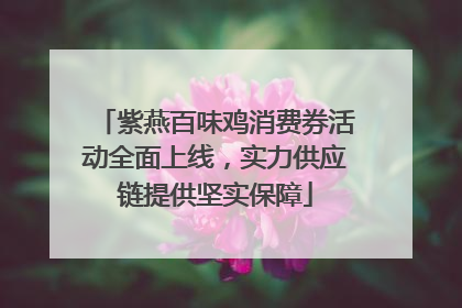 紫燕百味鸡消费券活动全面上线，实力供应链提供坚实保障