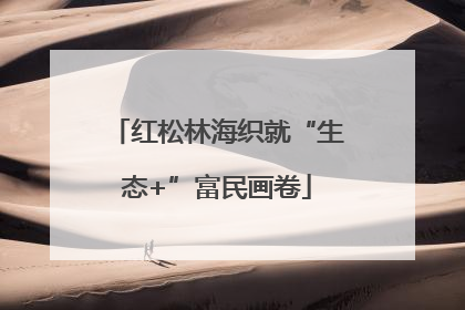 红松林海织就“生态+”富民画卷