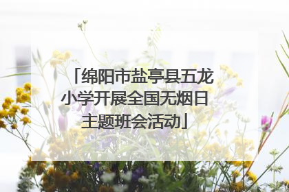 绵阳市盐亭县五龙小学开展全国无烟日主题班会活动