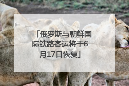 俄罗斯与朝鲜国际铁路客运将于6月17日恢复