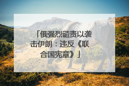 俄强烈谴责以袭击伊朗：违反《联合国宪章》