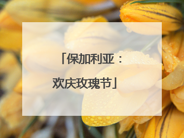 保加利亚：欢庆玫瑰节