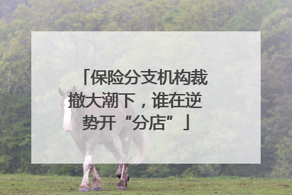 保险分支机构裁撤大潮下，谁在逆势开“分店”