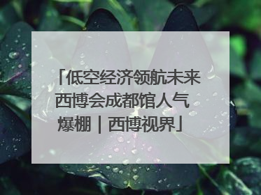 低空经济领航未来 西博会成都馆人气爆棚｜西博视界