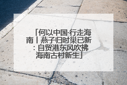 何以中国·行走海南丨燕子归时巢已新：自贸港东风吹拂 海南古村新生