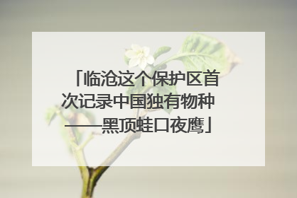 临沧这个保护区首次记录中国独有物种——黑顶蛙口夜鹰