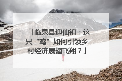 临泉县迎仙镇：这只“鸡”如何引领乡村经济展翅飞翔？