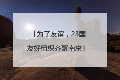 为了友谊，23国友好组织齐聚南京