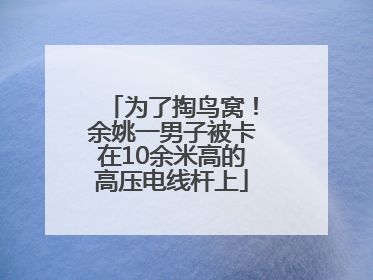 为了掏鸟窝！余姚一男子被卡在10余米高的高压电线杆上