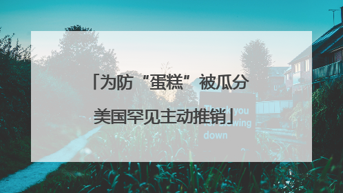 为防“蛋糕”被瓜分 美国罕见主动推销