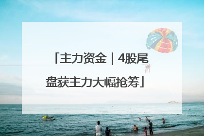 主力资金｜4股尾盘获主力大幅抢筹