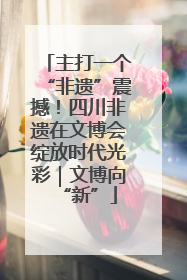 主打一个“非遗”震撼！四川非遗在文博会绽放时代光彩｜文博向“新”
