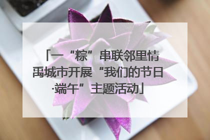 一“粽”串联邻里情 禹城市开展“我们的节日·端午”主题活动