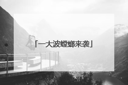 一大波螳螂来袭