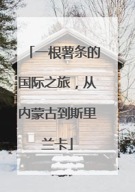 一根薯条的国际之旅，从内蒙古到斯里兰卡