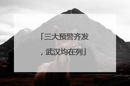 三大预警齐发，武汉均在列