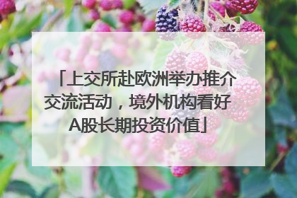 上交所赴欧洲举办推介交流活动，境外机构看好A股长期投资价值