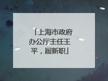 上海市政府办公厅主任王平，履新职