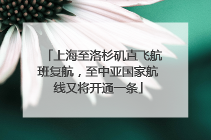 上海至洛杉矶直飞航班复航，至中亚国家航线又将开通一条