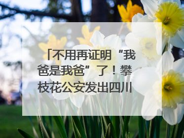 不用再证明“我爸是我爸”了！攀枝花公安发出四川首张“户籍人口直系亲属关系谱”