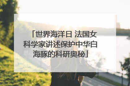 世界海洋日 法国女科学家讲述保护中华白海豚的科研奥秘