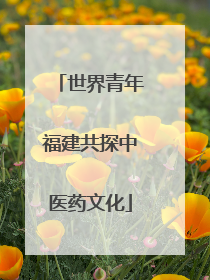 世界青年福建共探中医药文化