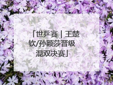 世乒赛｜王楚钦/孙颖莎晋级混双决赛
