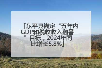 东平县锚定“五年内GDP和税收收入翻番”目标，2024年同比增长5.8%
