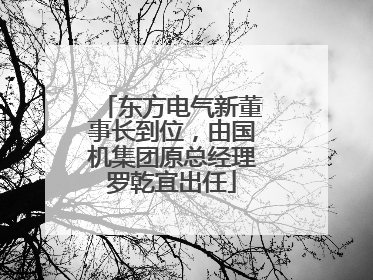 东方电气新董事长到位，由国机集团原总经理罗乾宜出任