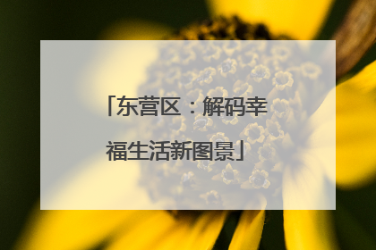东营区：解码幸福生活新图景