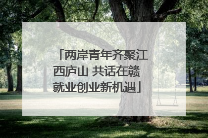 两岸青年齐聚江西庐山 共话在赣就业创业新机遇
