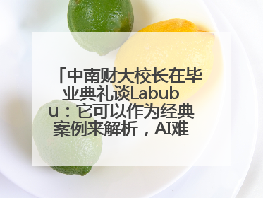 中南财大校长在毕业典礼谈Labubu：它可以作为经典案例来解析，AI难以给出答案