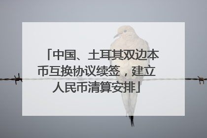 中国、土耳其双边本币互换协议续签，建立人民币清算安排