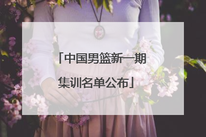 中国男篮新一期集训名单公布