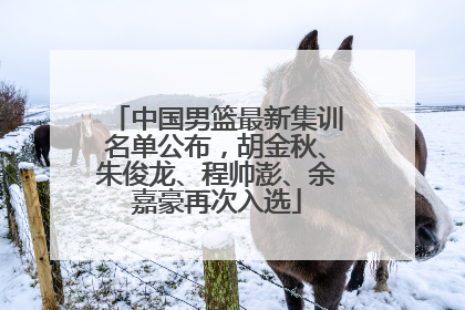 中国男篮最新集训名单公布，胡金秋、朱俊龙、程帅澎、余嘉豪再次入选