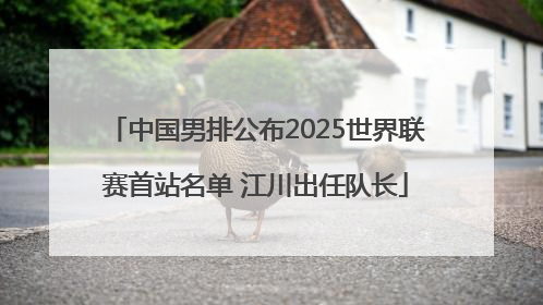 中国男排公布2025世界联赛首站名单 江川出任队长