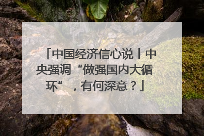 中国经济信心说丨中央强调“做强国内大循环”，有何深意？
