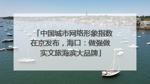 中国城市网络形象指数在京发布，海口：做强做实文旅海滨大品牌