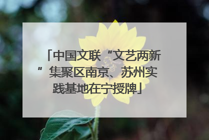 中国文联“文艺两新”集聚区南京、苏州实践基地在宁授牌