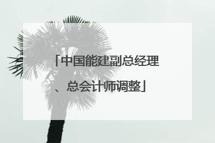中国能建副总经理、总会计师调整